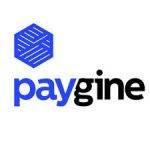 Paygine — решение для бизнеса по приёму криптовалют Paygine — решение для бизнеса по приёму криптовалют